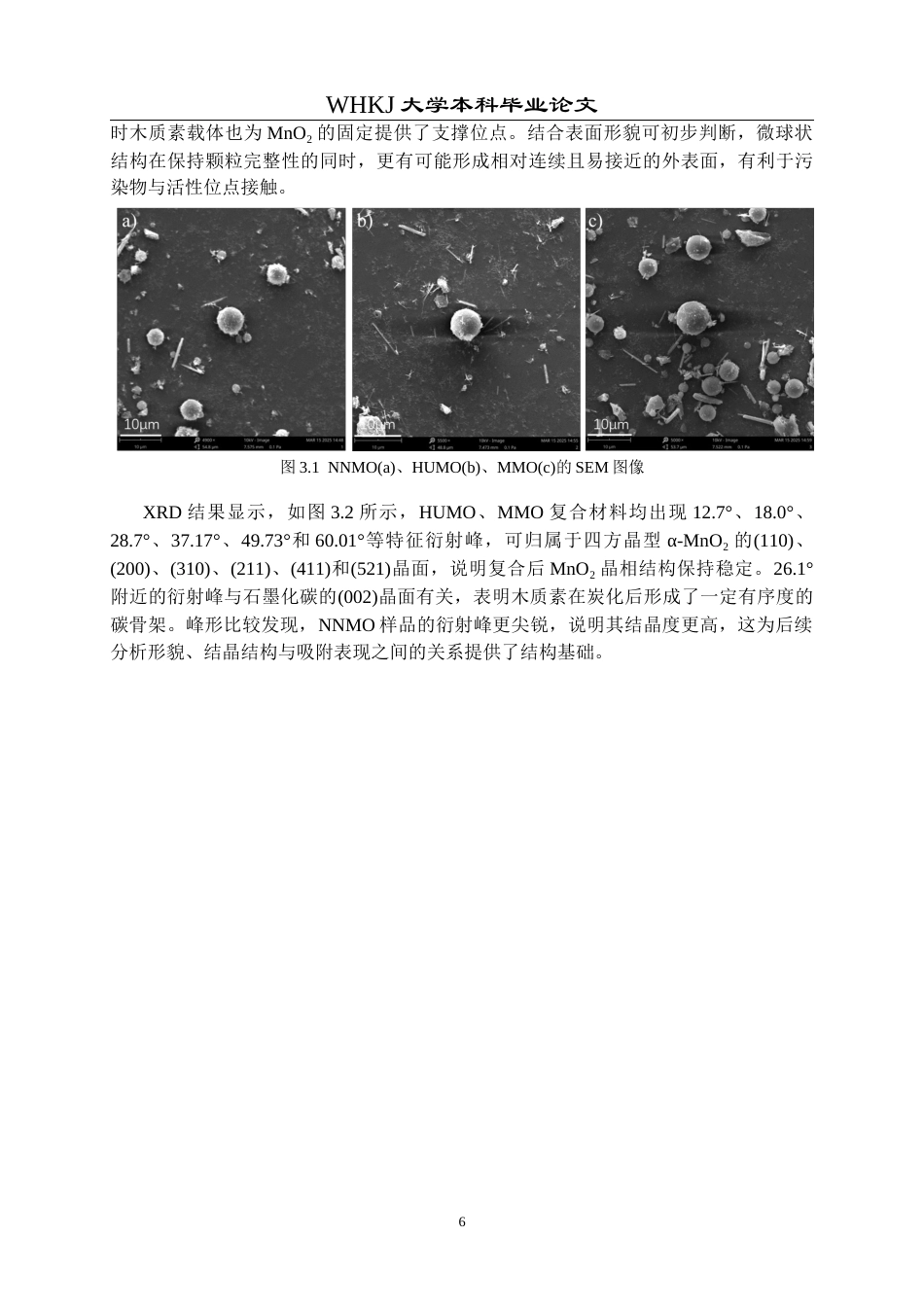 26年WP应用化学 功能化木质素衍生碳基材料对多目标水体污染物的吸附作用研究3.59-AI30.18全日(13414字).docx_第10页