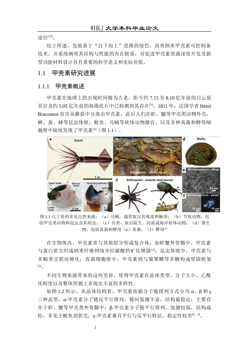 26年WP应用化学 纳米甲壳素基气凝胶的构建及其对微塑料吸附性能的研究10.52-AI46.39全日(19883字).docx_第6页
