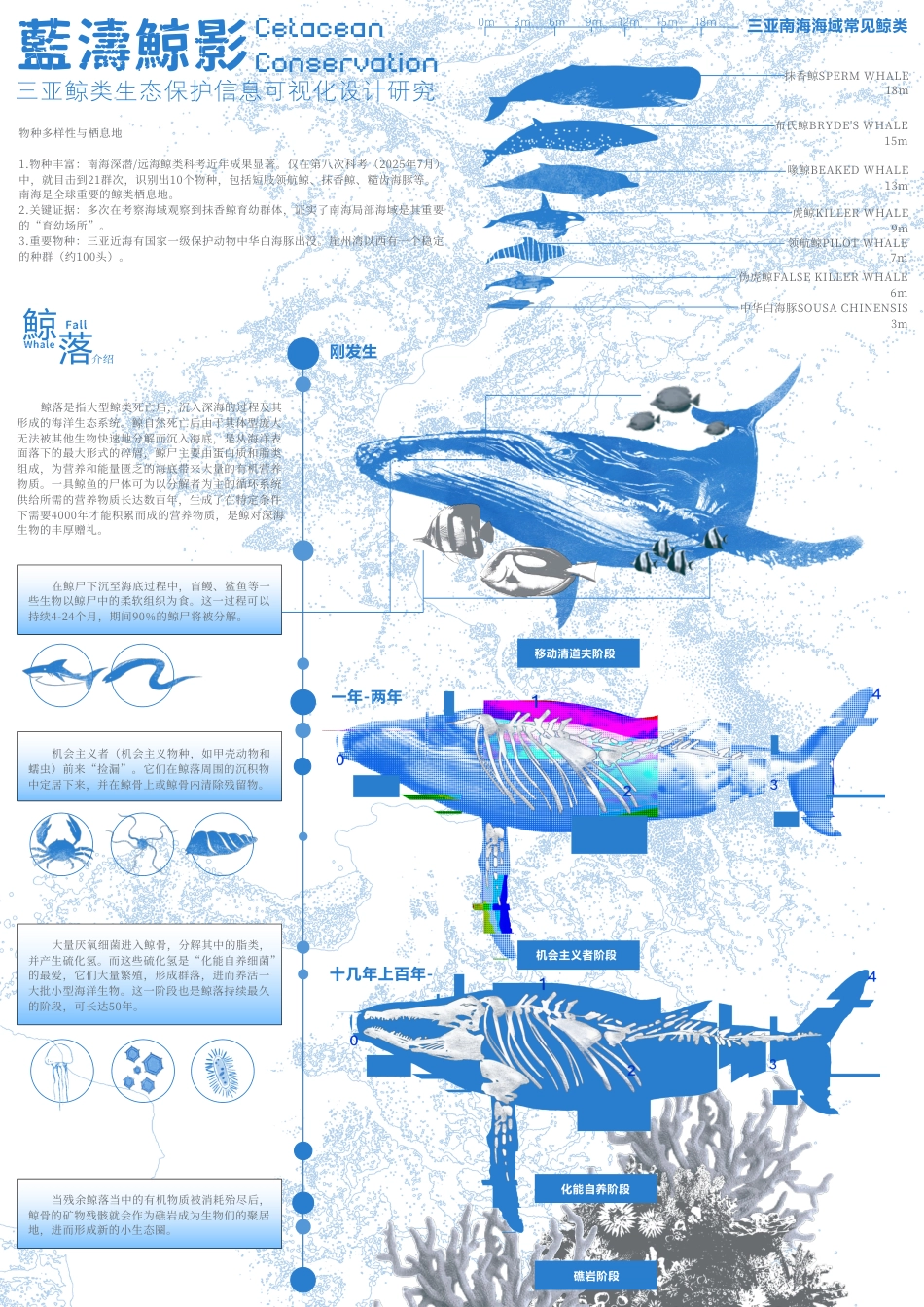 2026视觉传达设计一套 ”蓝涛鲸影“信息可视化设计.pdf(论文+可视化设计方卡海报phtotoshop.PS源文件.psd)过大客服发.pdf_第1页