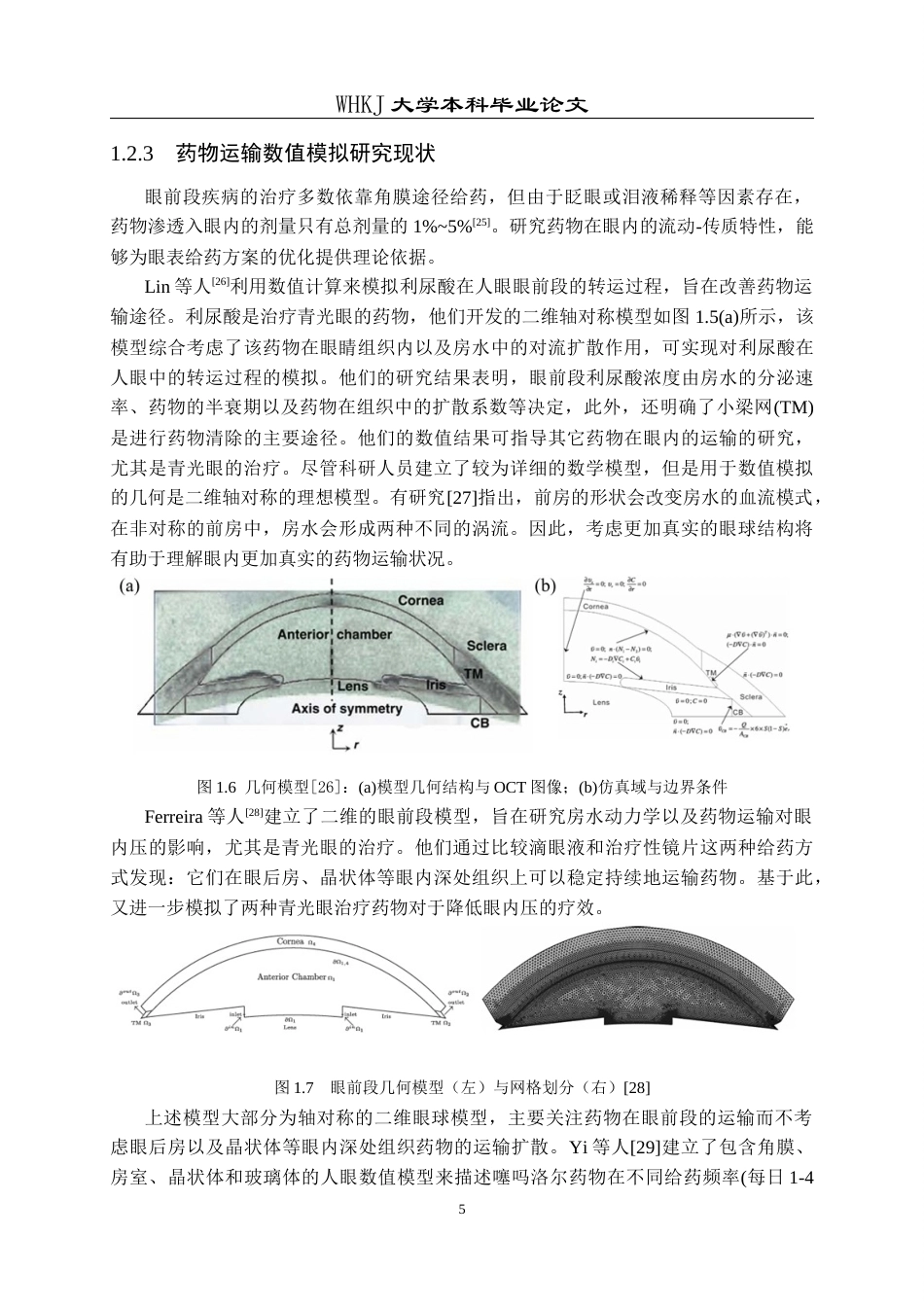 26年WP智能制造工程 人工晶体植入条件下眼内药物流动–传质特性分析及其器官芯片模型研究4.41-AI2.89全日(23228字).docx_第9页