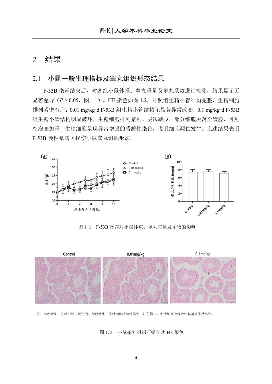 26年WP卫生检验与检疫 全氟化合物F-53B暴露对小鼠睾丸生精功能的影响 论文14.93-AI19.8_1-约18199字符.pdf_第9页