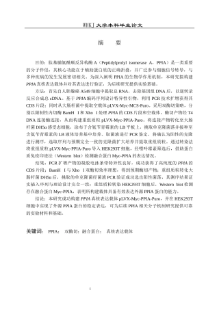 26年WP生物技术 PPIA真核表达载体的构建及验证4.06-AI16.93_1全日(15041字).docx