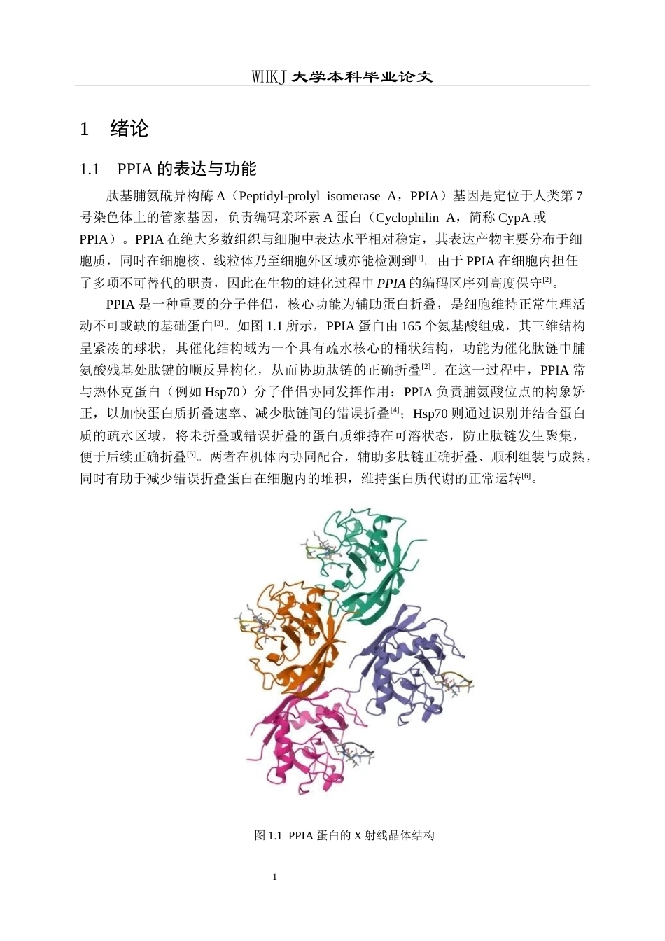 26年WP生物技术 PPIA真核表达载体的构建及验证4.06-AI16.93_1全日(15041字).docx_第5页