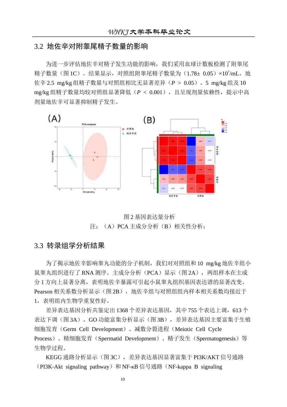 26年WP卫生检验与检疫 地佐辛暴露对小鼠睾丸生精功能的影响24.26-AI31.33_1全日(13727字).docx_第10页
