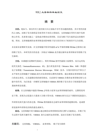 26年WP卫生检验与检疫 支持细胞VIRMA在调节睾丸血睾屏障中的作用研究6.46-AI12.72_1全日(10346字).docx