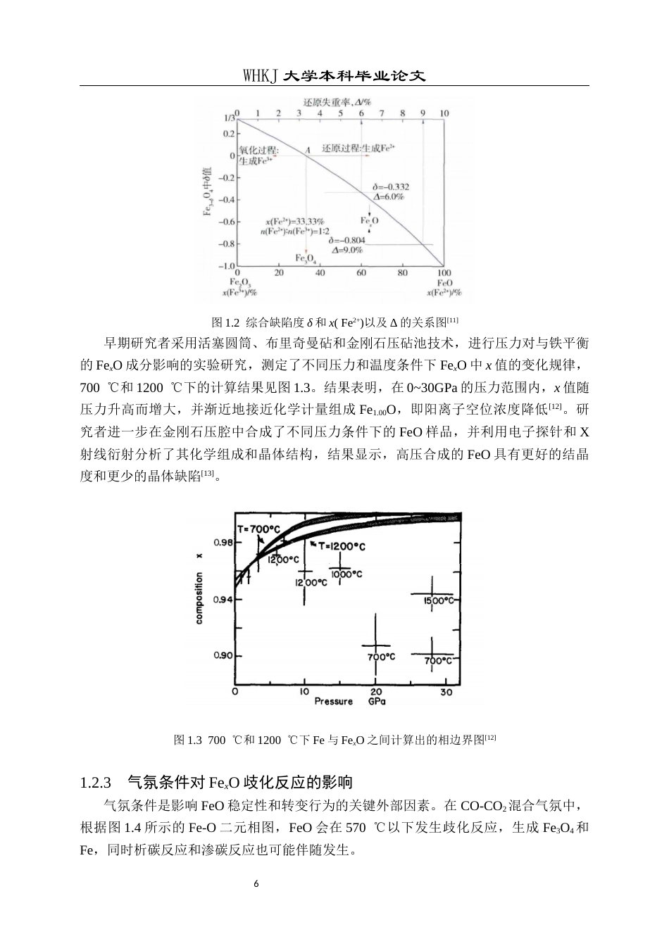 26年WP英才计划 氧化亚铁在不同气氛下的微观晶型转变12.57-AI35.58全日(12910字).docx_第9页