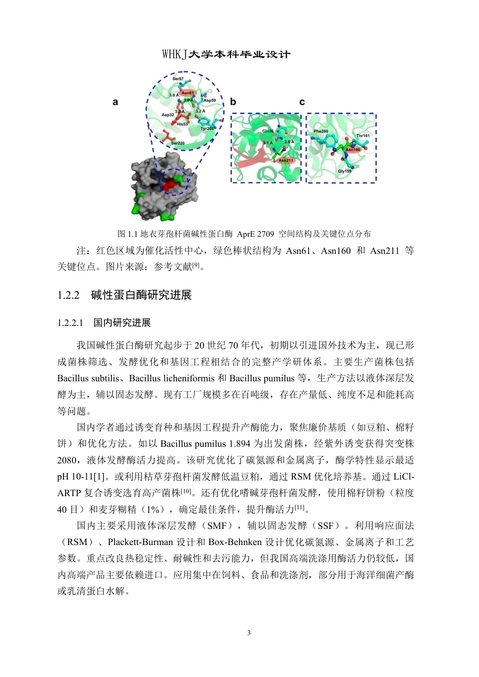 26年WP生物工程 年产500吨碱性蛋白酶的发酵工厂设计9.83-AI6.91-约28778字符.pdf_第8页