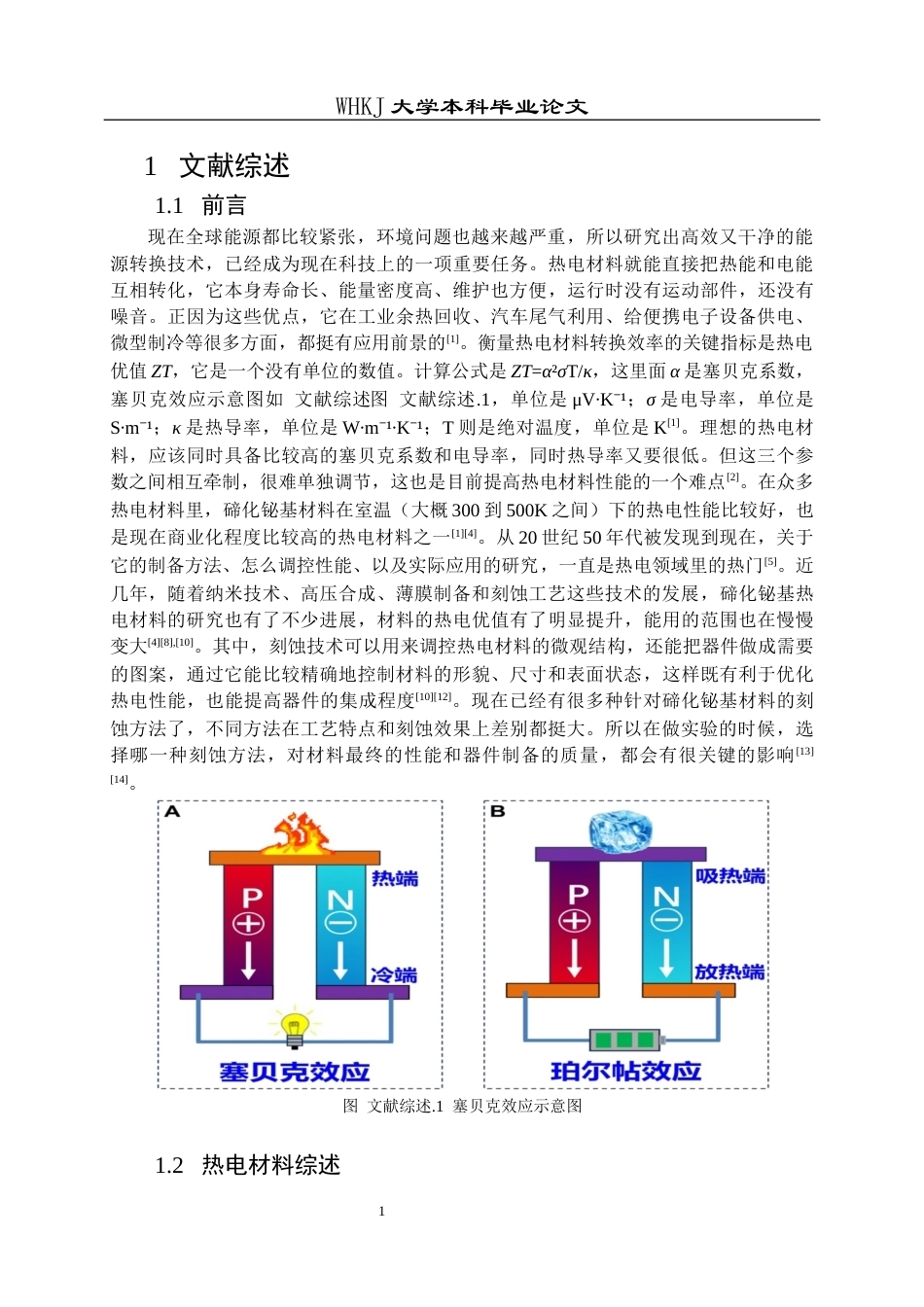 26年WP英才计划 阴极电解刻蚀p型碲化铋材料及其对Te器件异质界面的影响7.4-AI17.98全日(14042字).docx_第5页