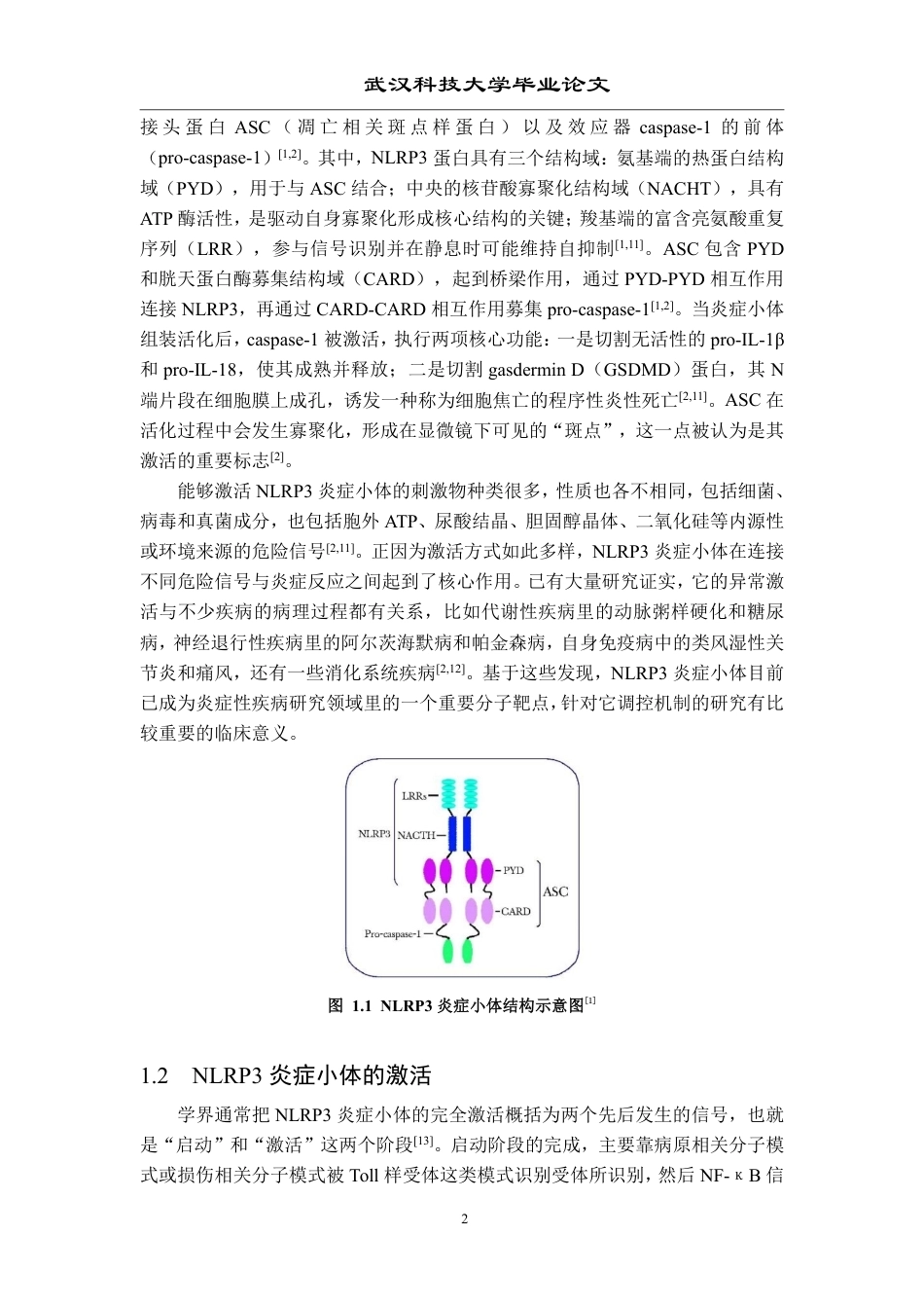 26年WP药学 一类吲哚并哒嗪酮衍生物的NLRP3炎症小体抑制活性研究25.89-AI14.4_1-约18375字符.pdf_第6页