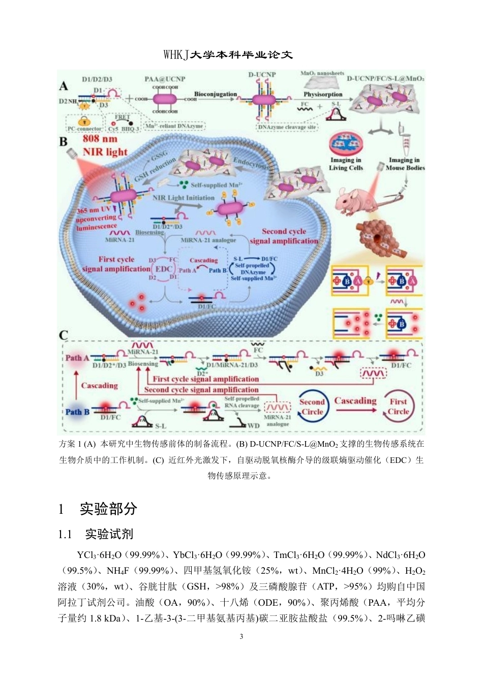 26年WP卫生检验与检疫 自推进DNAzyme介导的级联熵催化DNA纳米装置17.04-AI23.18_1-约29260字符-全日制.pdf_第6页