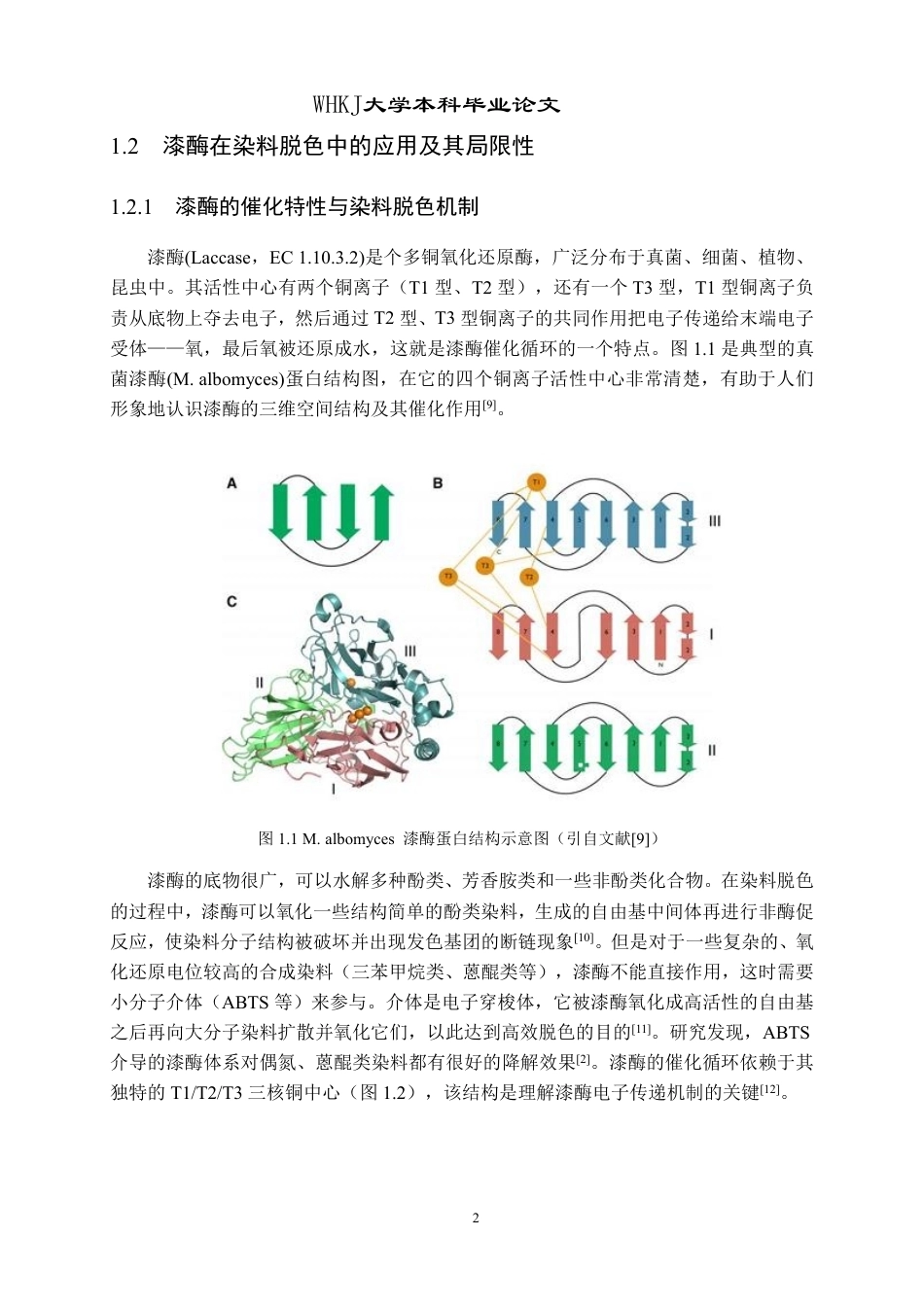 26年WP生物工程 自组装细菌漆酶蛋白笼的表达及对染料的脱色研究23.16-AI5.3-约18245字符-全日制.pdf_第5页