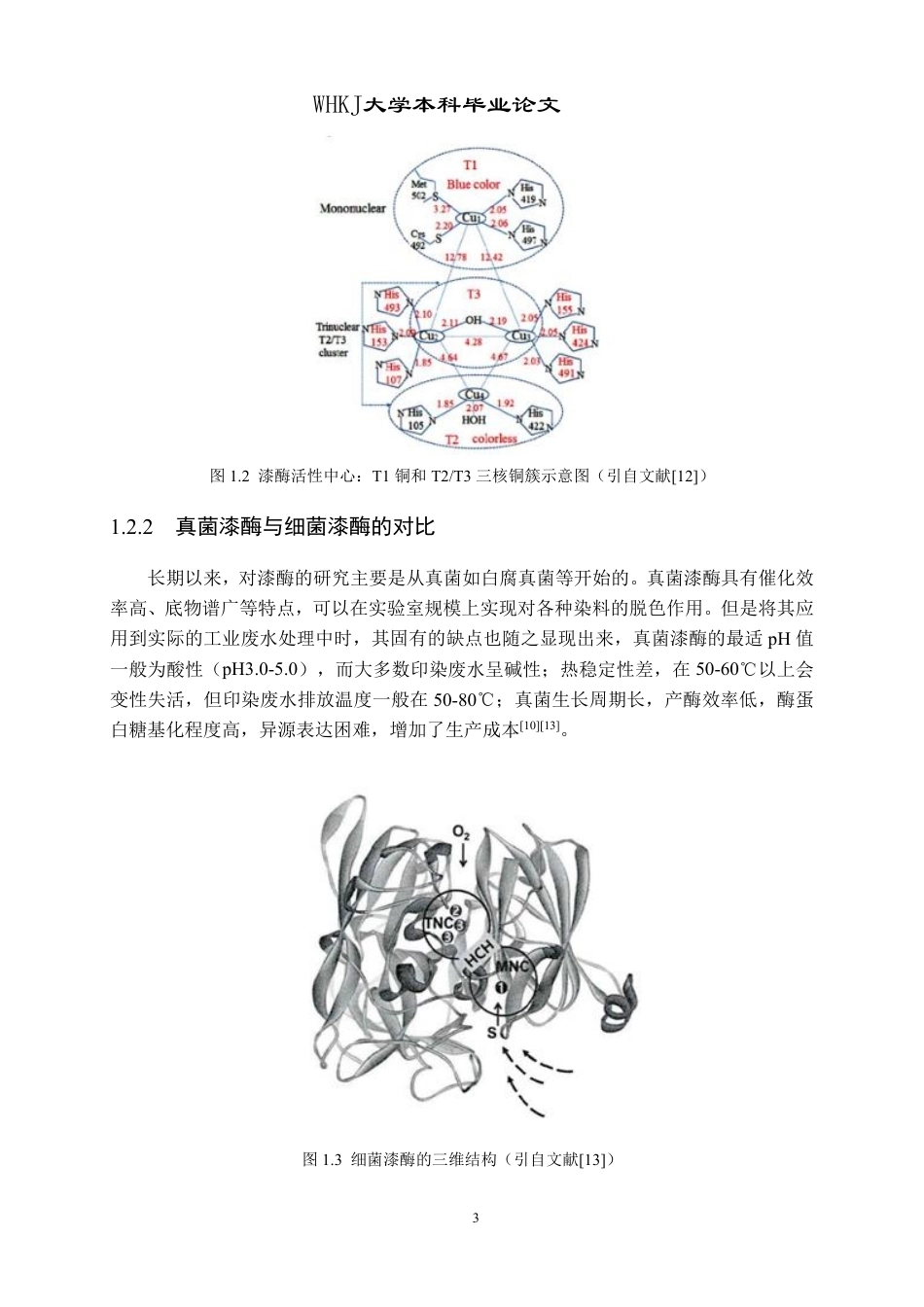 26年WP生物工程 自组装细菌漆酶蛋白笼的表达及对染料的脱色研究23.16-AI5.3-约18245字符-全日制.pdf_第6页