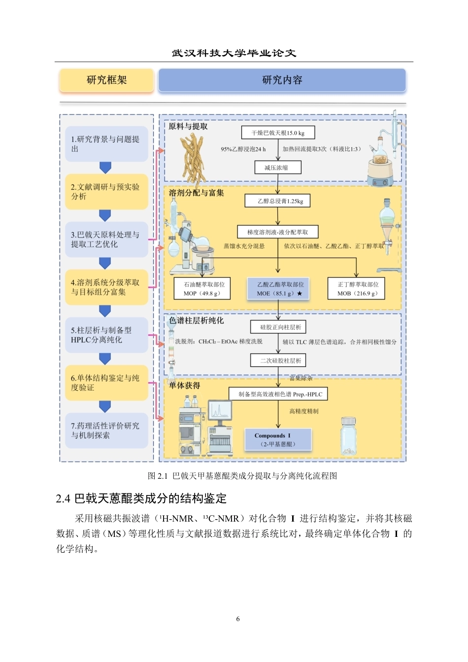 26年WP药学 南药巴戟天中2-甲基蒽醌提取分离鉴定和活性研究19.13-AI14.85_1-约23439字符-全日制.pdf_第10页