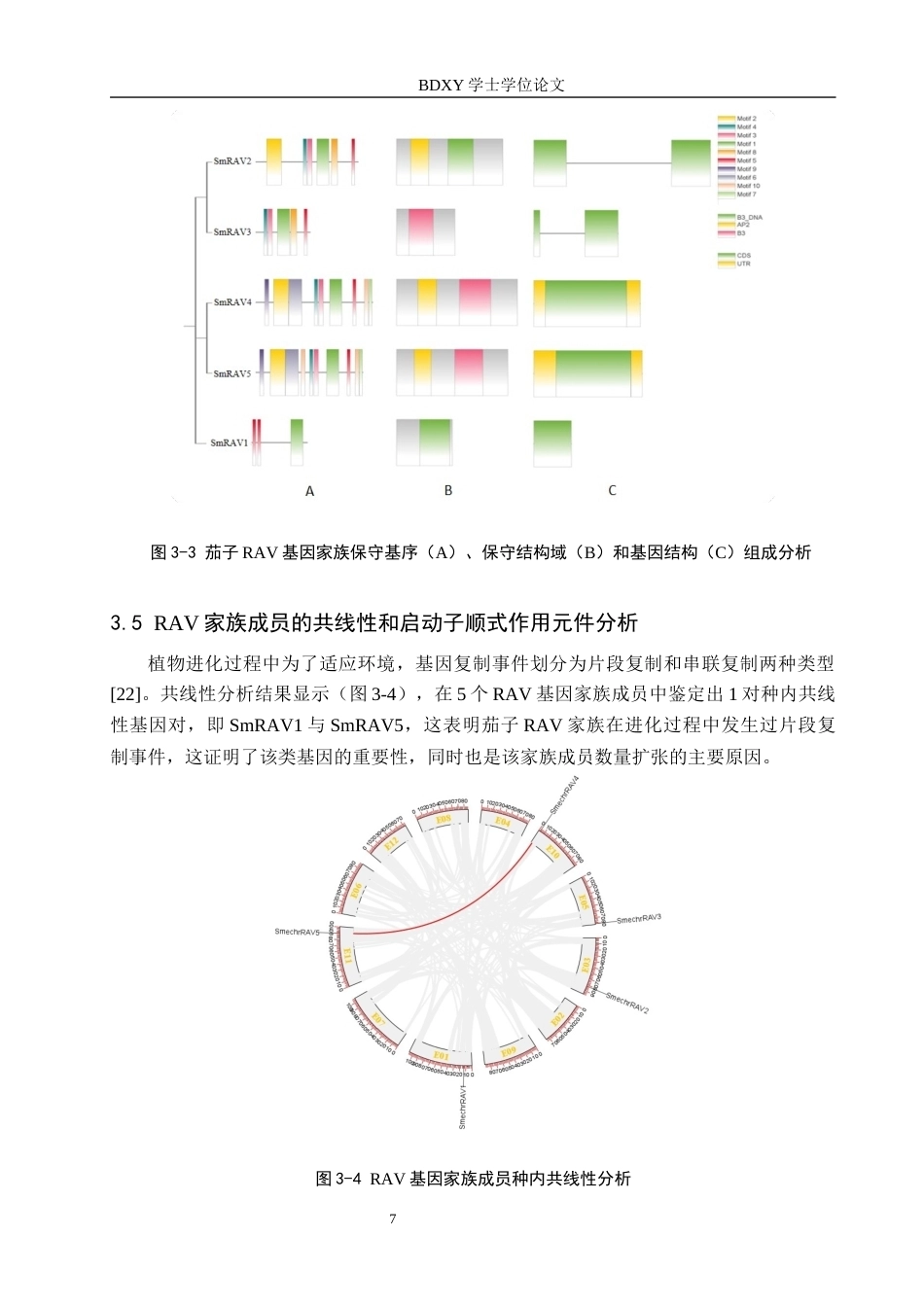 26年WP生物科学(师范)茄子RAV基因家族全基因组鉴定及响应毒莠定胁迫表达分析19.56-AI15.49全日制(9493字).docx_第10页