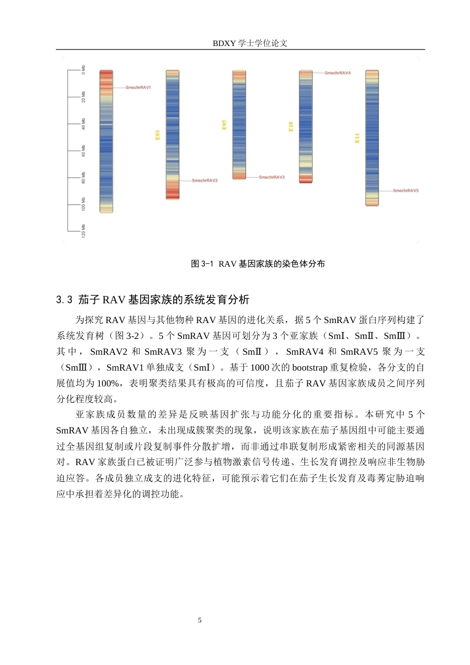 26年WP生物科学(师范)茄子RAV基因家族全基因组鉴定及响应毒莠定胁迫表达分析19.56-AI15.49全日制(9493字).docx_第8页