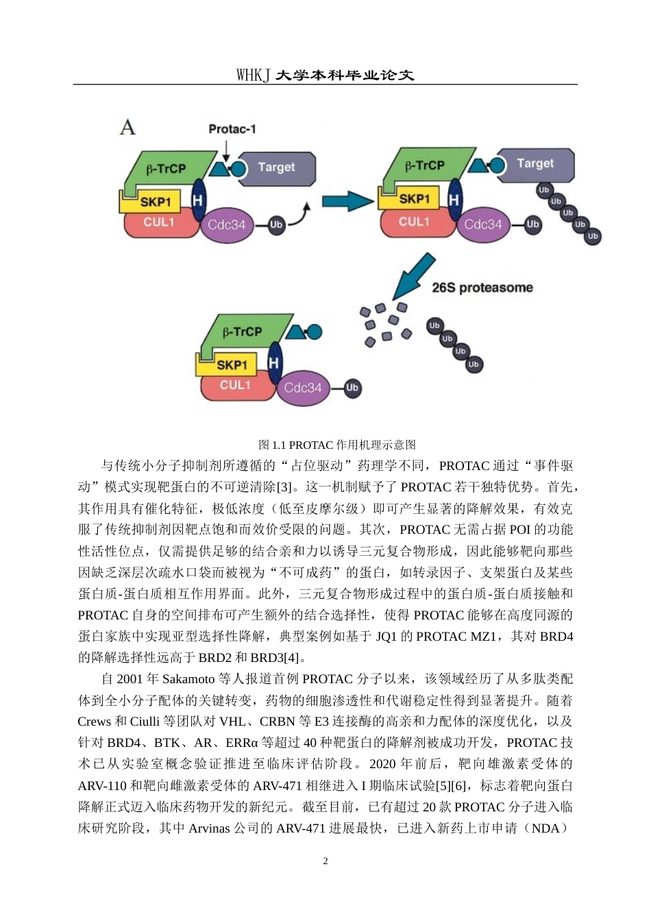26年WP化学工程与工艺 泊马度胺分子间偶联反应研究5.42-AI全日(16878字).docx_第6页