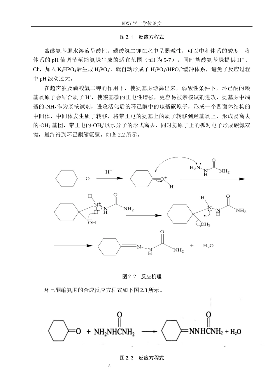 26年WP化学 环己酮缩氨脲的合成条件探究19.28-AI5.07全日制(8664字).docx_第6页